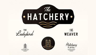 The Hatchery Branding