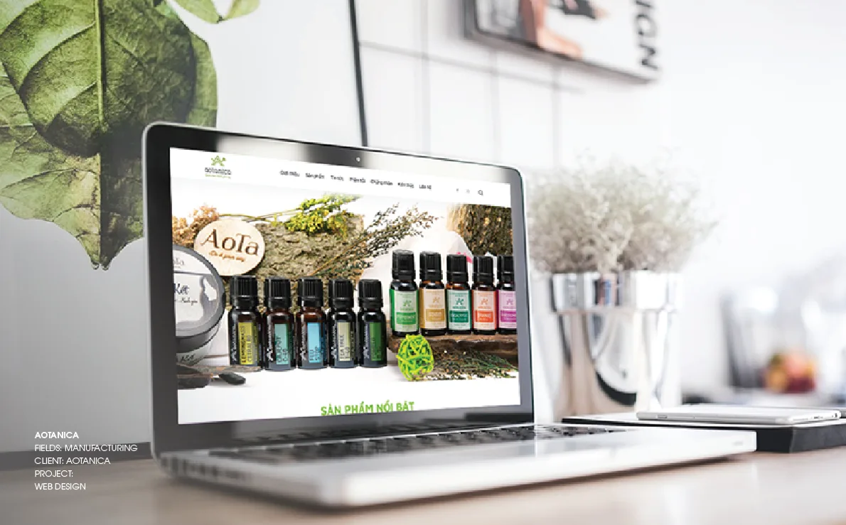 Portfolio trang 177