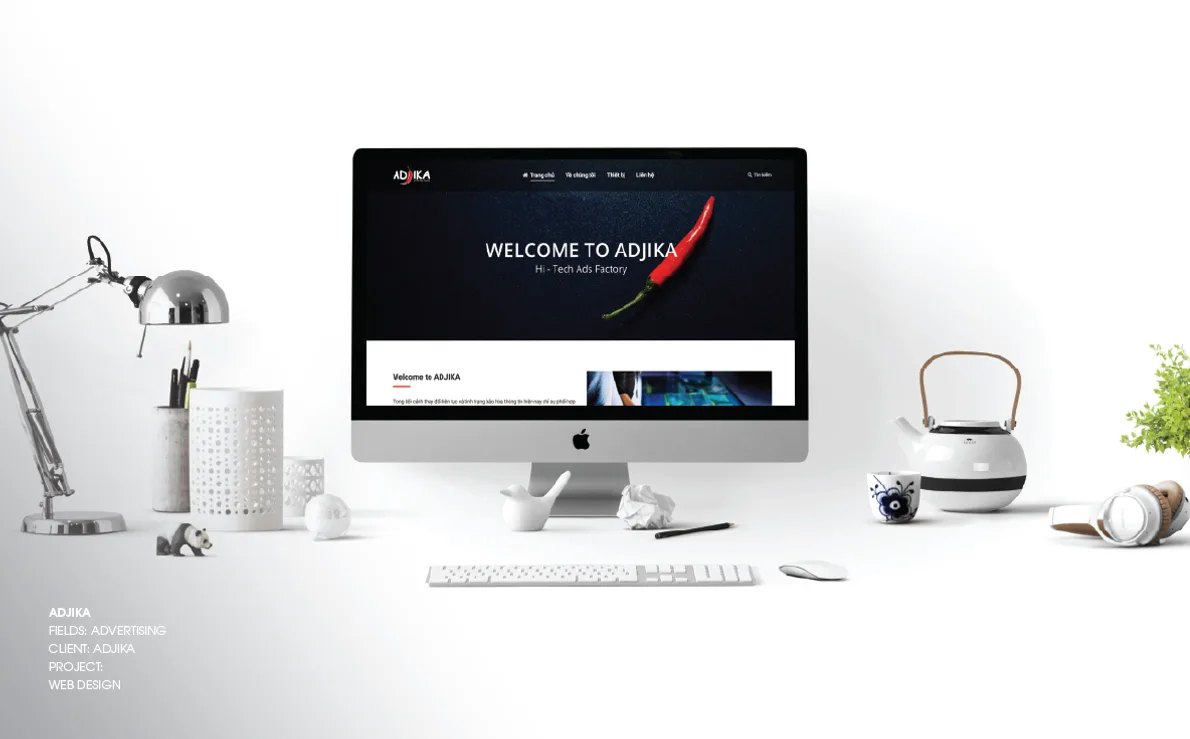Portfolio trang 179