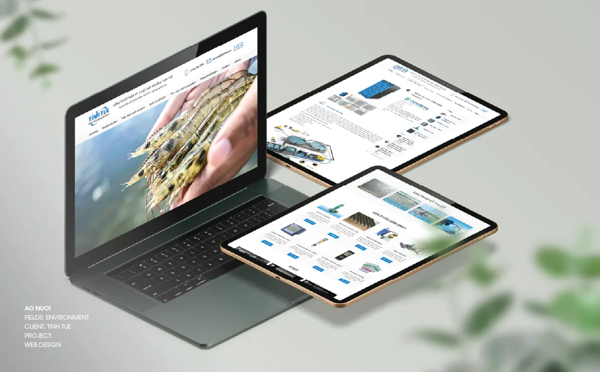 Portfolio trang 182